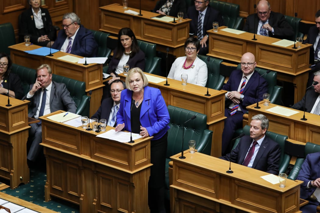 National Leader Judith Collins speaks in an urgent debate on the travel bubble