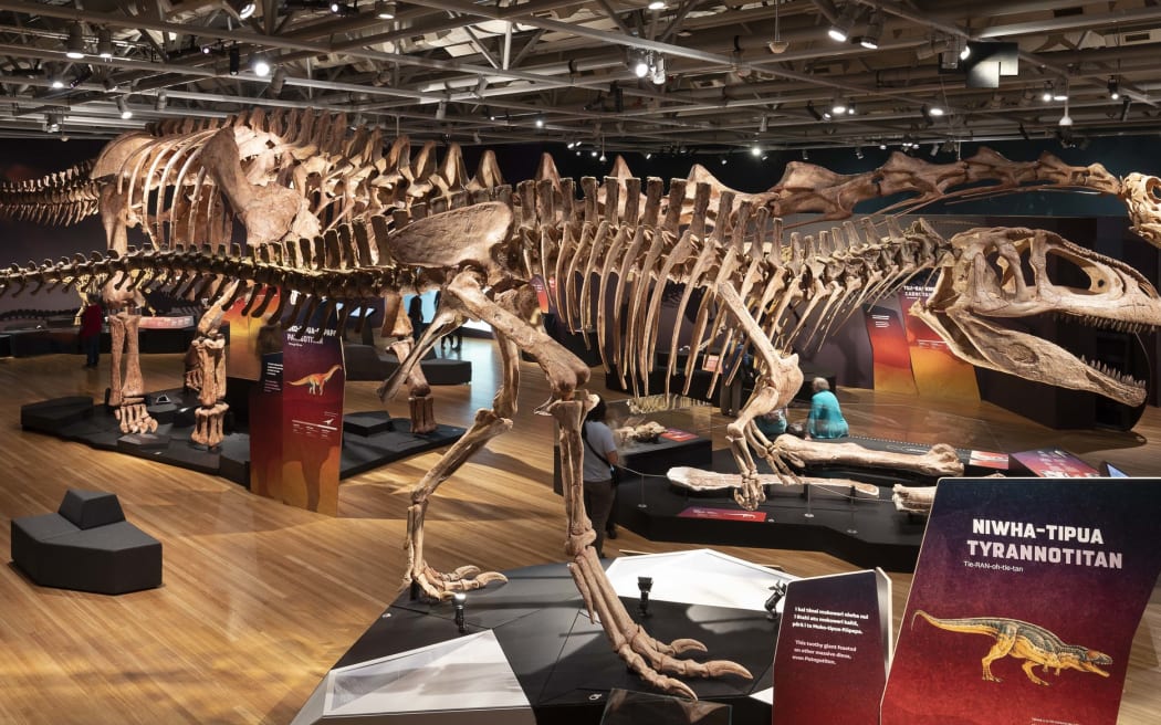 Te Papa Tongarewa Dino Exhibition preview