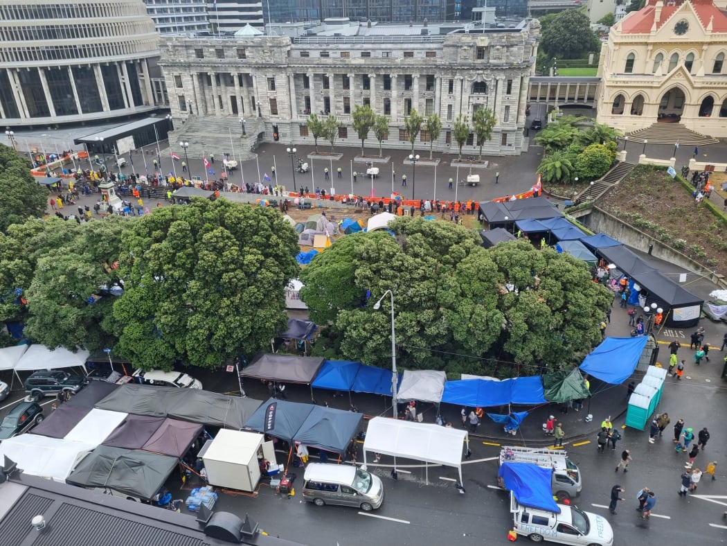 Protesters' vans and cars blocking Molesworth St outside Parliament grounds, and tarpaulin awnings set up on the road and footpath.