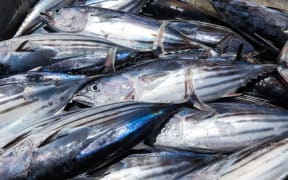 A file photo of gleaming small fish