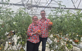 Meet Anthony and Angela Tringham, of Curious Croppers, the couple growing heirloom tomatoes using agroecology principles.