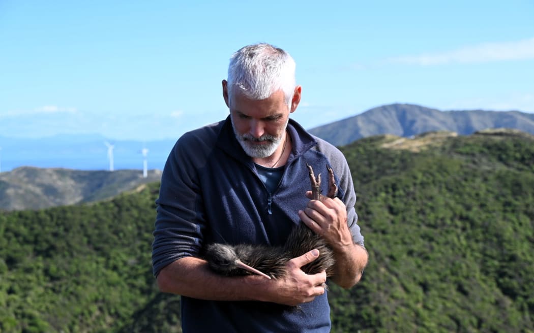Kiwi with handler