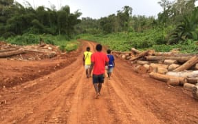 Landowners walking along a logging road in an illegally logged forest, Metamin area, New Hanover, PNG.