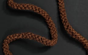 A Tabua seized at New Zealand’s border under the CITES act. It is one of more than 100 in the Department of Conservation’s possession.