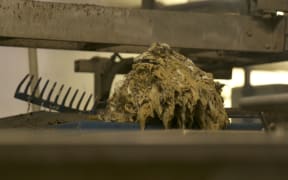 Waste processed in Wellington.