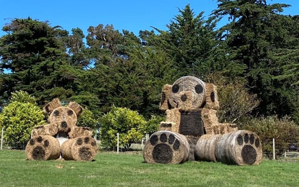 A South Wairarapa farmer's contribution to  the teddy bear hunt during the Covid-19 lockdown