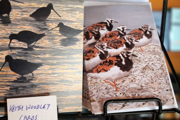 Keith Woodley's paintings on a postcard at the Pukorokoro Miranda Shorebird centre