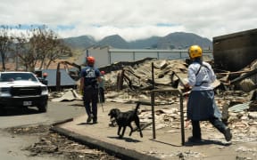 FEMA Responders with search dogs in Lahaina