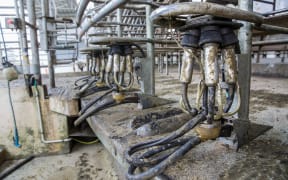 Simon Mackle's Dairy Farm is unable to be kept clean due to still have no access to water.