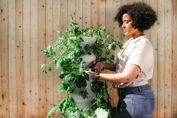 Many swear by gardening as a mood booster - does the evidence back this ...