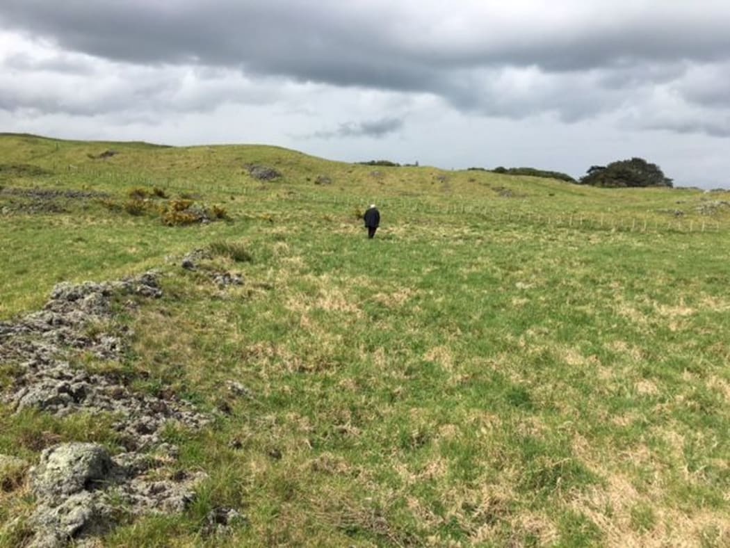 Dave Veart wandering around Otuataua.