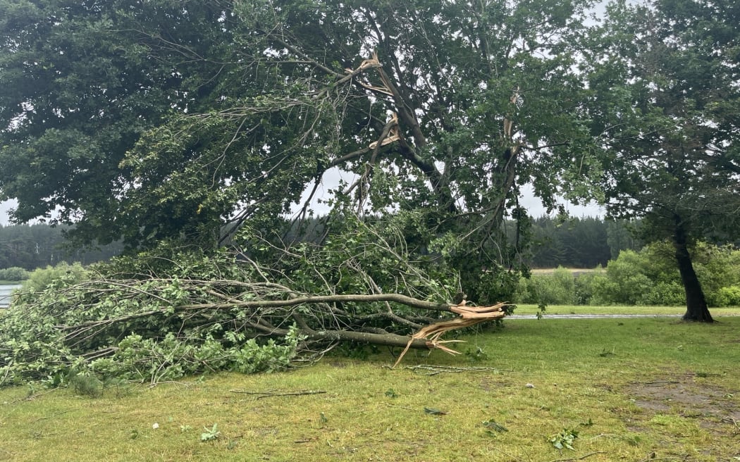 A tornado is reported to have flipped a caravan injuring one person at a motor camp at Lake Dudding in rural Manawatū.
