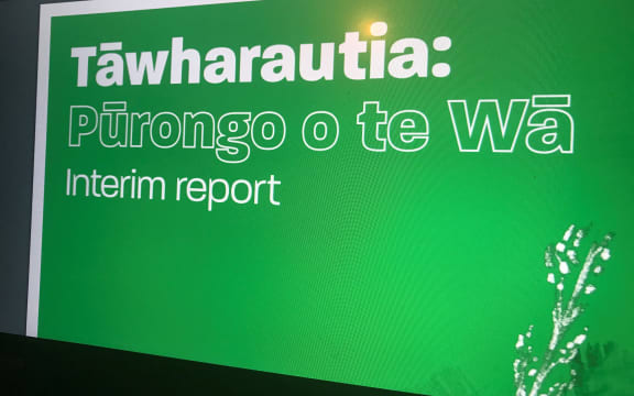An interim report from the Royal Commission into Abuse in Care was released on 16 December.