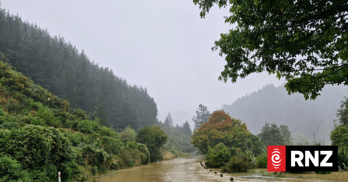 Nelson council brings forward sewerage repair after rain damage