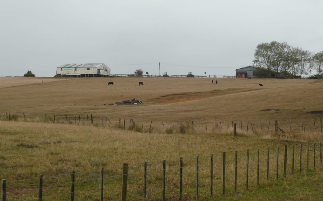 Northern and eastern Waikato has had no significant rain for about two months.