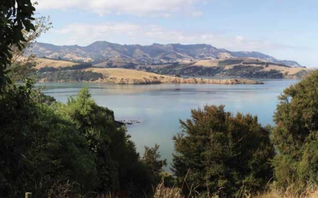 Hammond Point, where Christchurch City Council plans to irrigate treated wastewater.