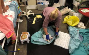 The office floor where Kristi James had her baby.