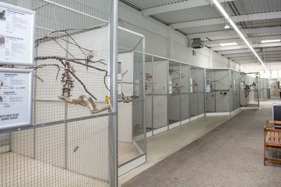 Biggest pet shop in the world discount