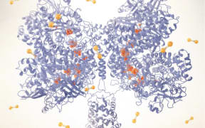 An artist shows the new enzyme, named Huc, using hydrogen from air.