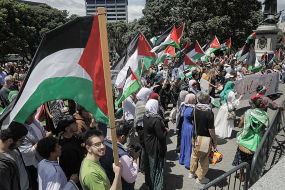 Protesters gathered at Parliament on 12 December to call for an immediate and permanent ceasefire in Gaza.