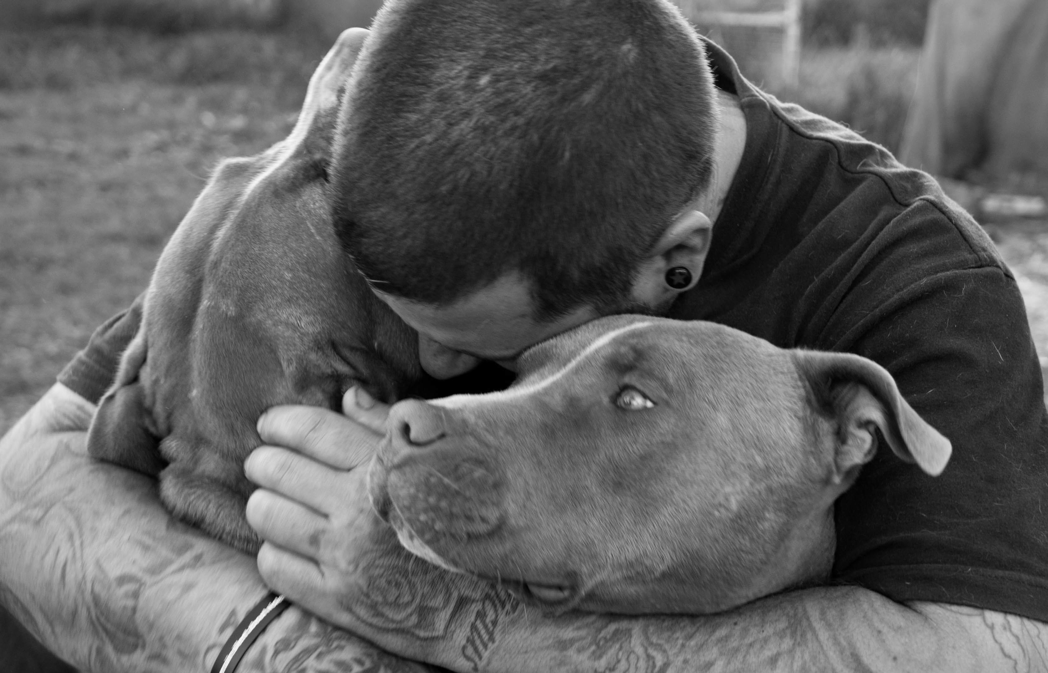 Dogs Best Friend still