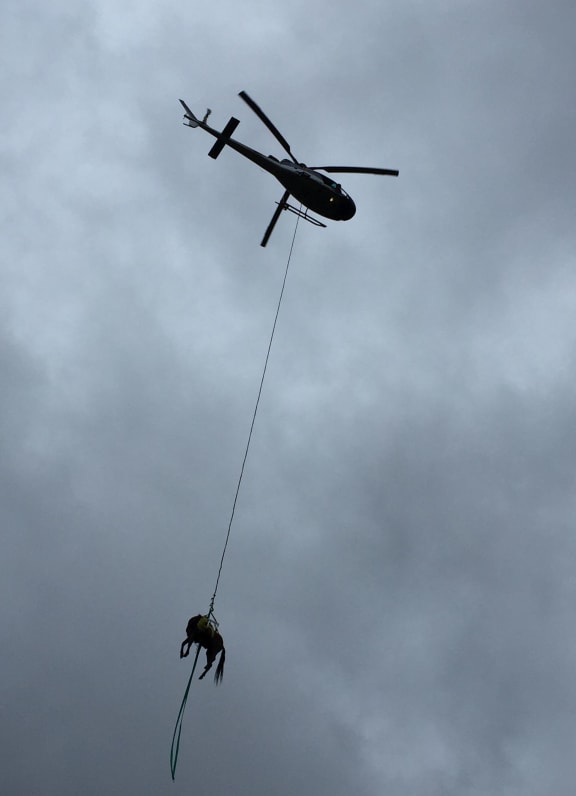 The two year old horse named Poppy was stranded down a steep bank alongside rapidly rising flood water yesterday.