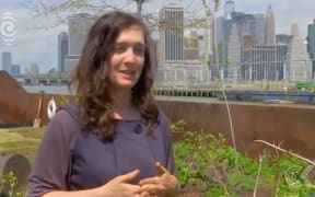 Floating orchard docks in New York City