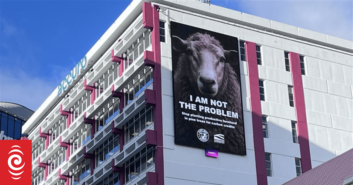 Federated Farmers campaign against pine tree planting initiative