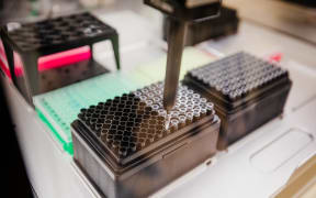 Machine sorts positive Covid-19 samples for genome testing.