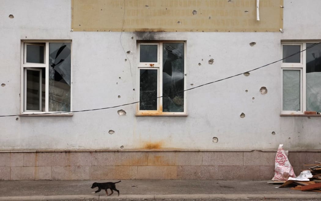 A puppy walks by a bullet-riddled building in Shusha, in Azerbaijan's controlled region of Nagorno-Karabakh.
