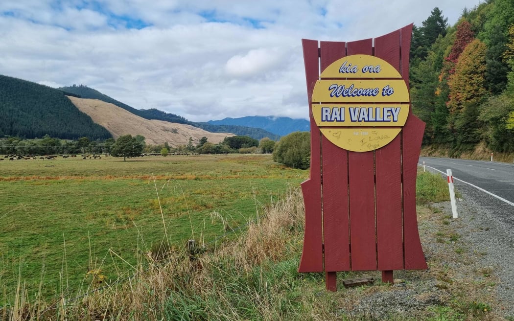 There has been less rain than usual for this time of year in Marlborough's Rai Valley though some rainfall means there is a green tinge to the paddocks.