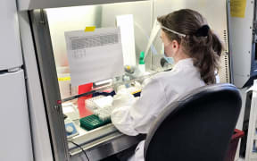 Christina Harden, a post-graduate researcher in the Grubaugh Lab, works on SalivaDirect™ tests.