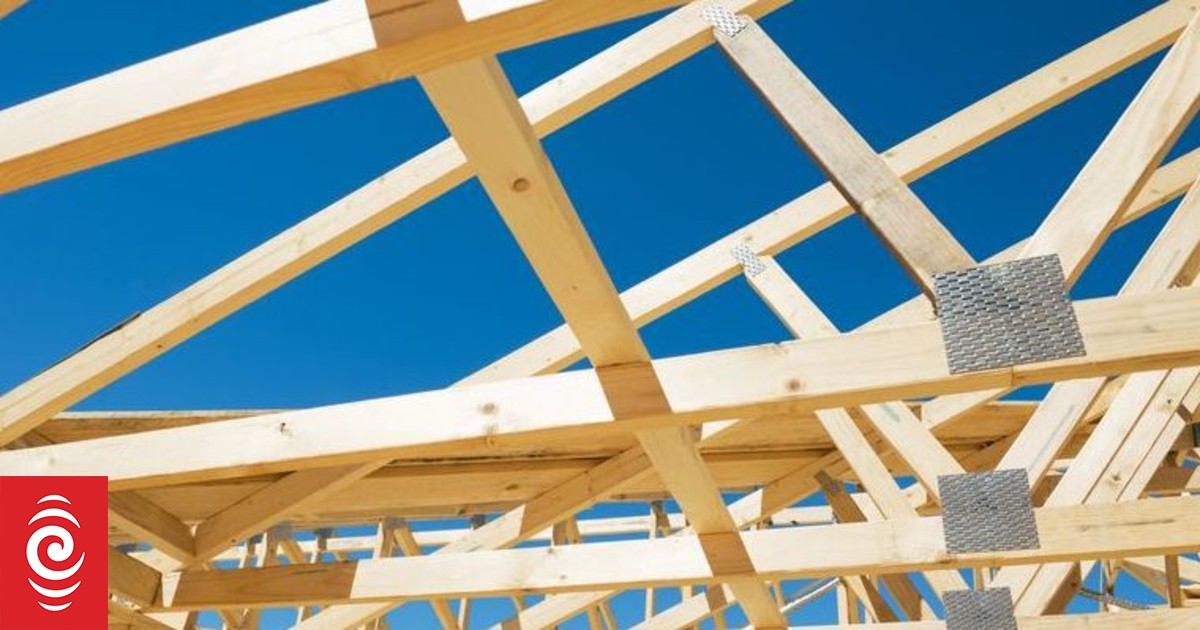 Death of apprentice builder indictment on construction sector - WorkSafe - Vimarsana News