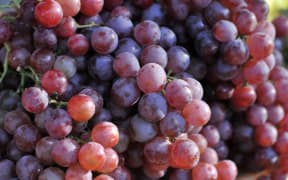 Grapes