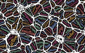 What if our ability to recognize emotions ceased to exist.