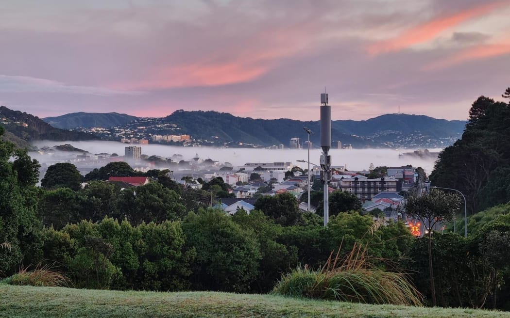 Fog in Wellington on morning of 19 July 2024.