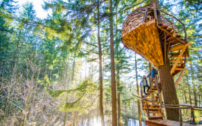 Donald Farmer's treehouse