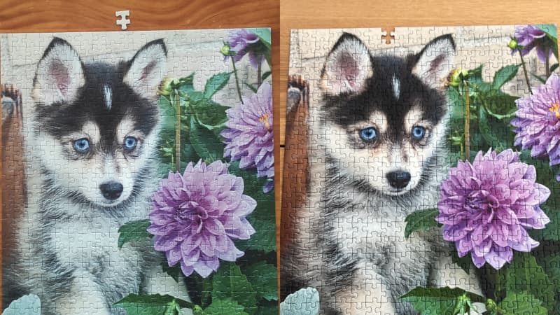 The two husky puppy puzzles, one with a missing piece and one with an extra piece.