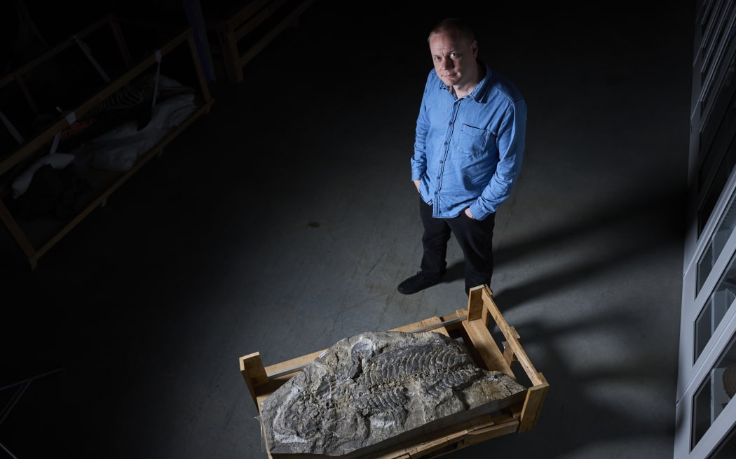 UNSW PhD candidate and Australian Museum researcher Lachlan Hart with the fossilised remains of Arenaerpeton supinatus