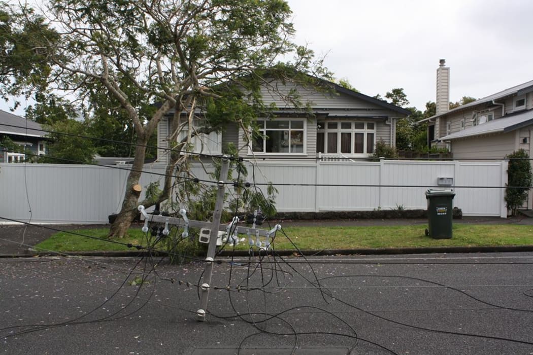 Strong winds brought down power lines in Mt Eden.