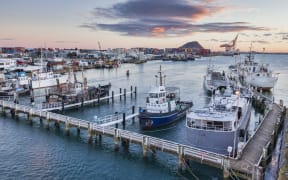 Tauranga Port, Bay of Plenty, with Mount Maunganui in the background.