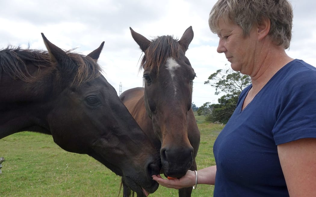 President of the NZ Horse Network, Viven Dostine feeds her horse Imp and Yoda