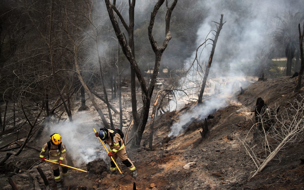 Firefighters work at the Botanical Garden after a forest fire in Viña del Mar, Chile, on February 4, 2024. Chileans Sunday feared a rise in the death toll from wildfires blazing across the South American country that have already killed at least 51 people, leaving bodies in the street and homes gutted. (Photo by Javier TORRES / AFP)