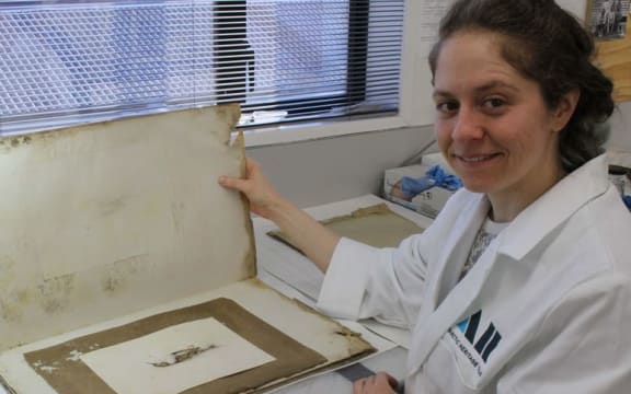 Conservator Josefin Bergmark-Jimenez found the painting.