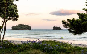 Whangamatā beach is popular with summer holiday makers
