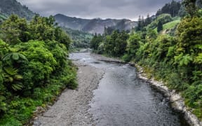 Waioeka River from Oponae Bridge.