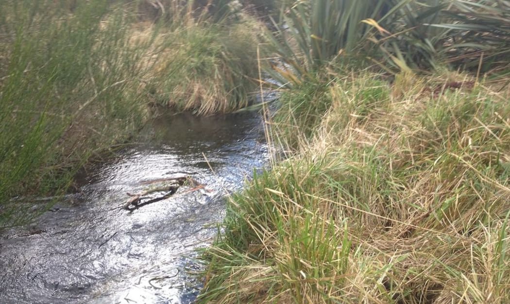 Waitangi Stream near Waiouru