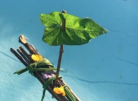Make a Waka (Raft) - one of the Nature Connection Activities