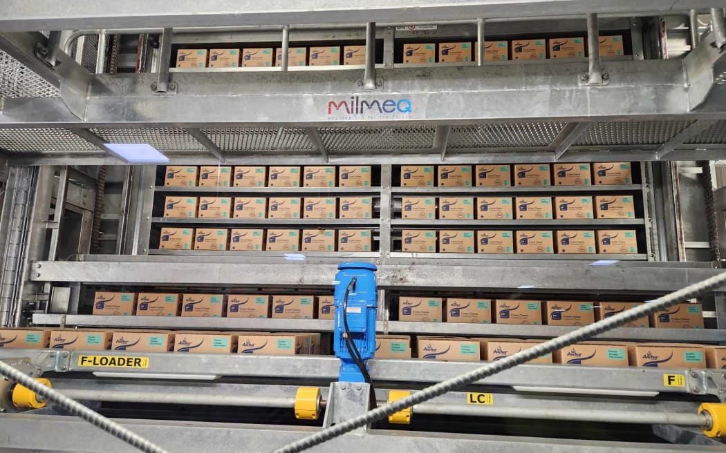 Boxes of cream cheese on production line at Fonterra Darfield.