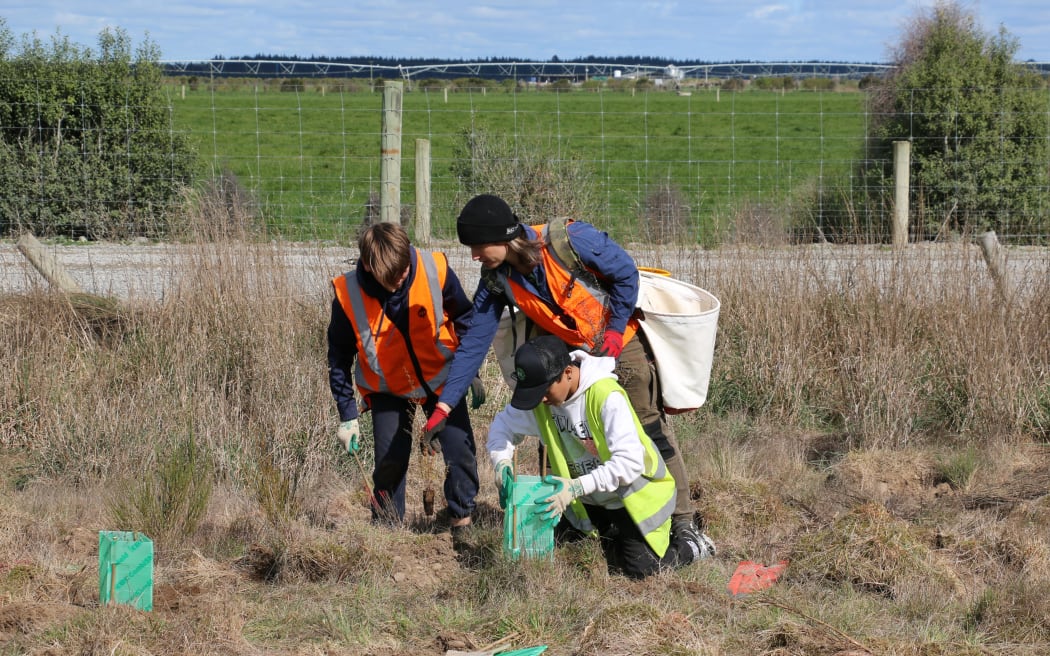 The Eyrewell skink habitat restoration school day
